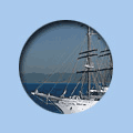 Windjammer Cruises